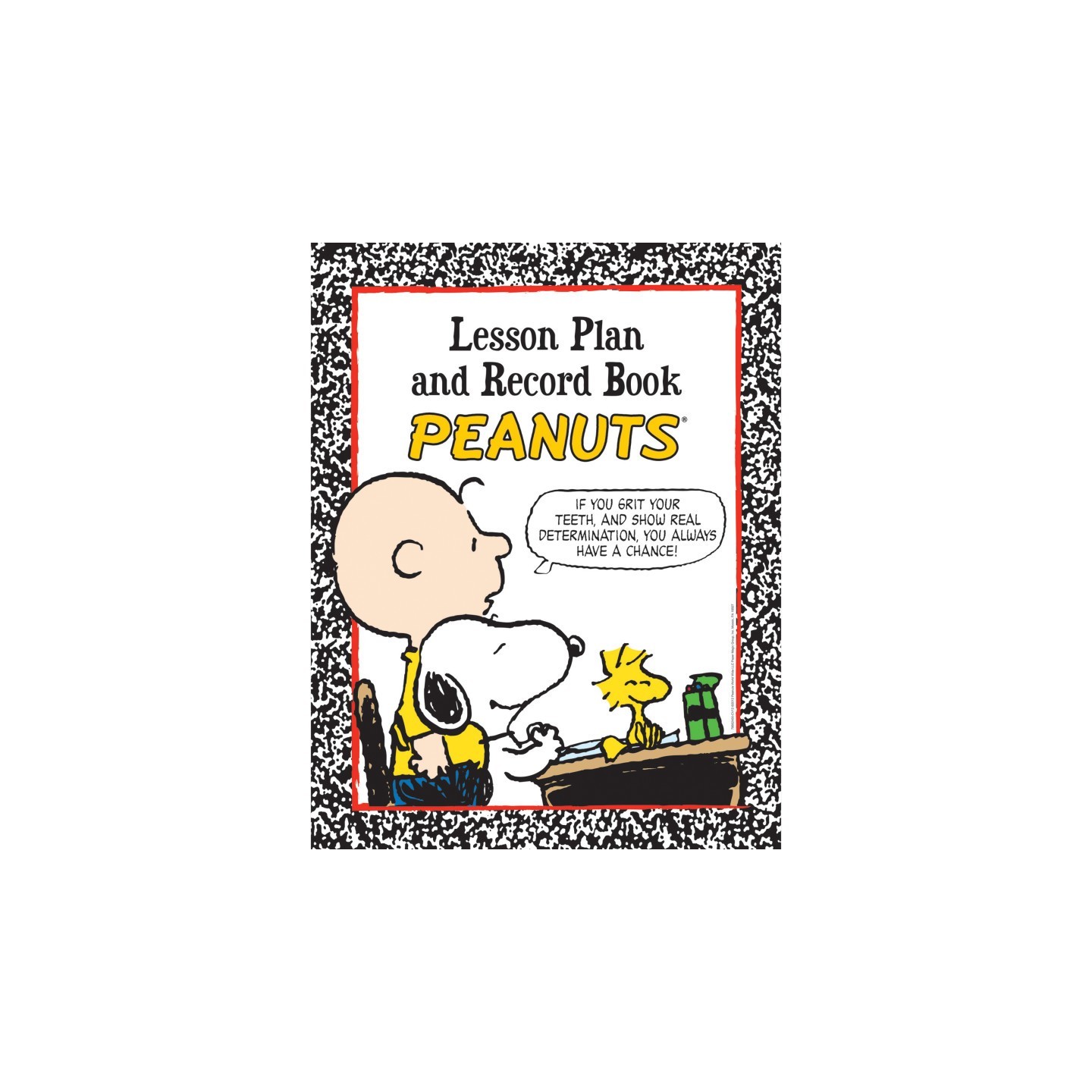Eureka® Peanuts® Lesson Plan & Record Book