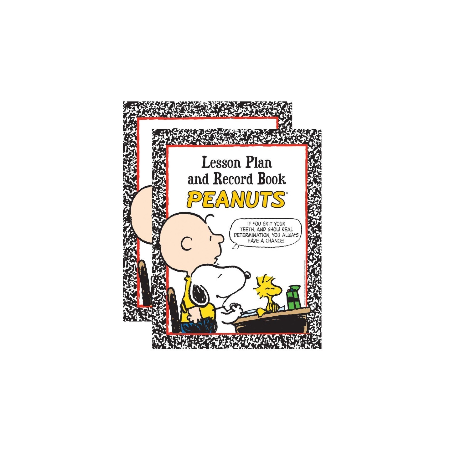 Eureka® Peanuts® Lesson Plan & Record Book, Pack of 2