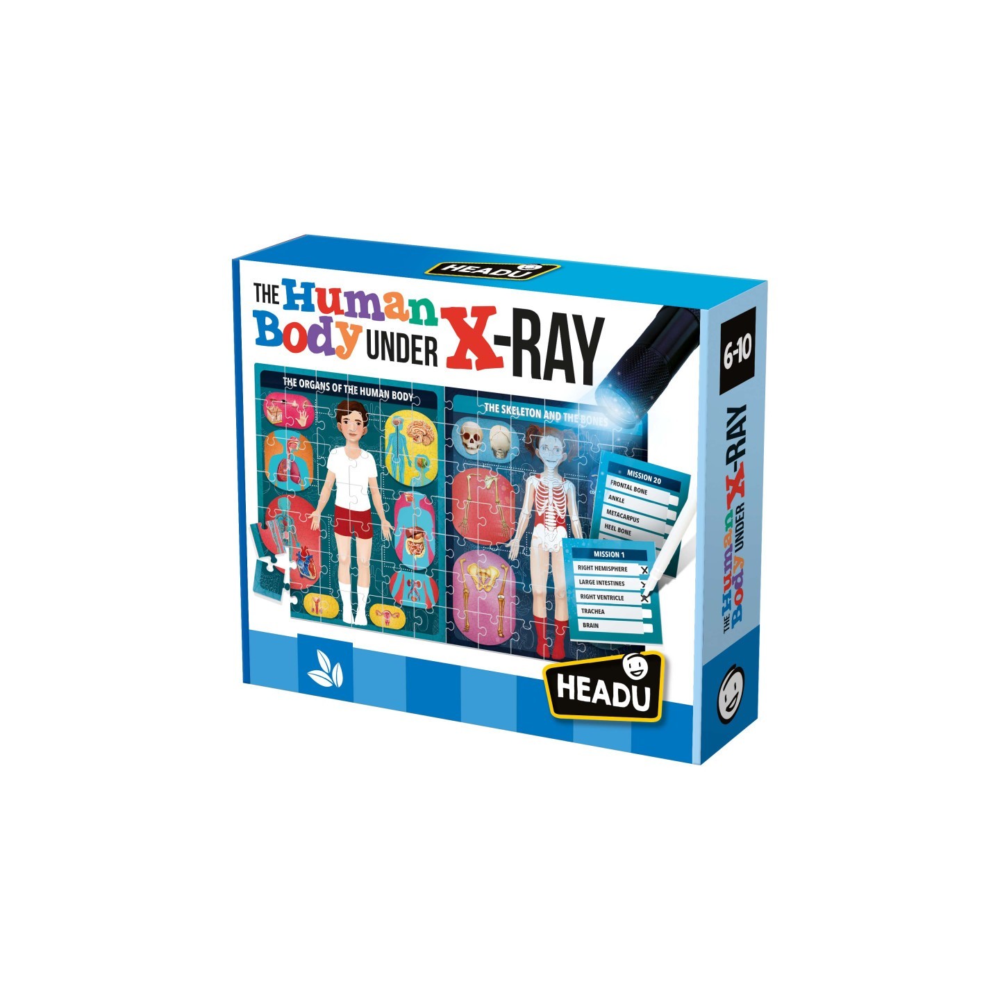 Headu The Human Body Under X-Ray