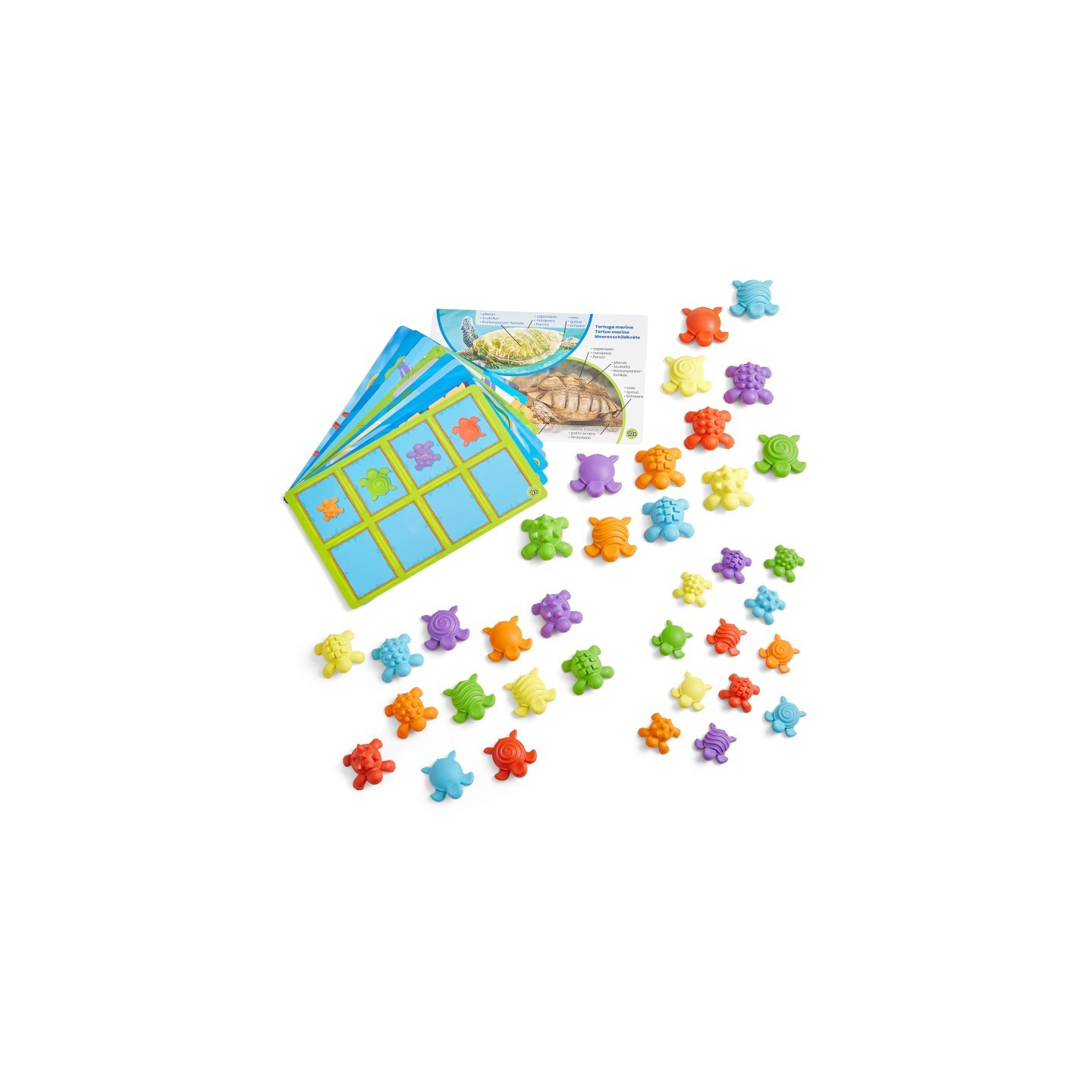 Hand2Mind Tactile Turtles Math Activity Set