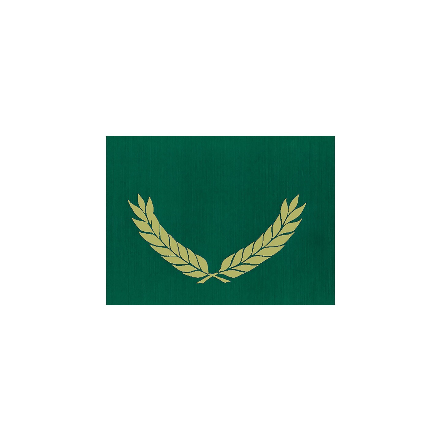 Hayes Publishing Gold Foil Stamped Green Certificate Folders, 10" x 13", Pack of 30
