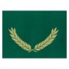 Hayes Publishing Gold Foil Stamped Green Certificate Folders, 10" x 13", Pack of 30