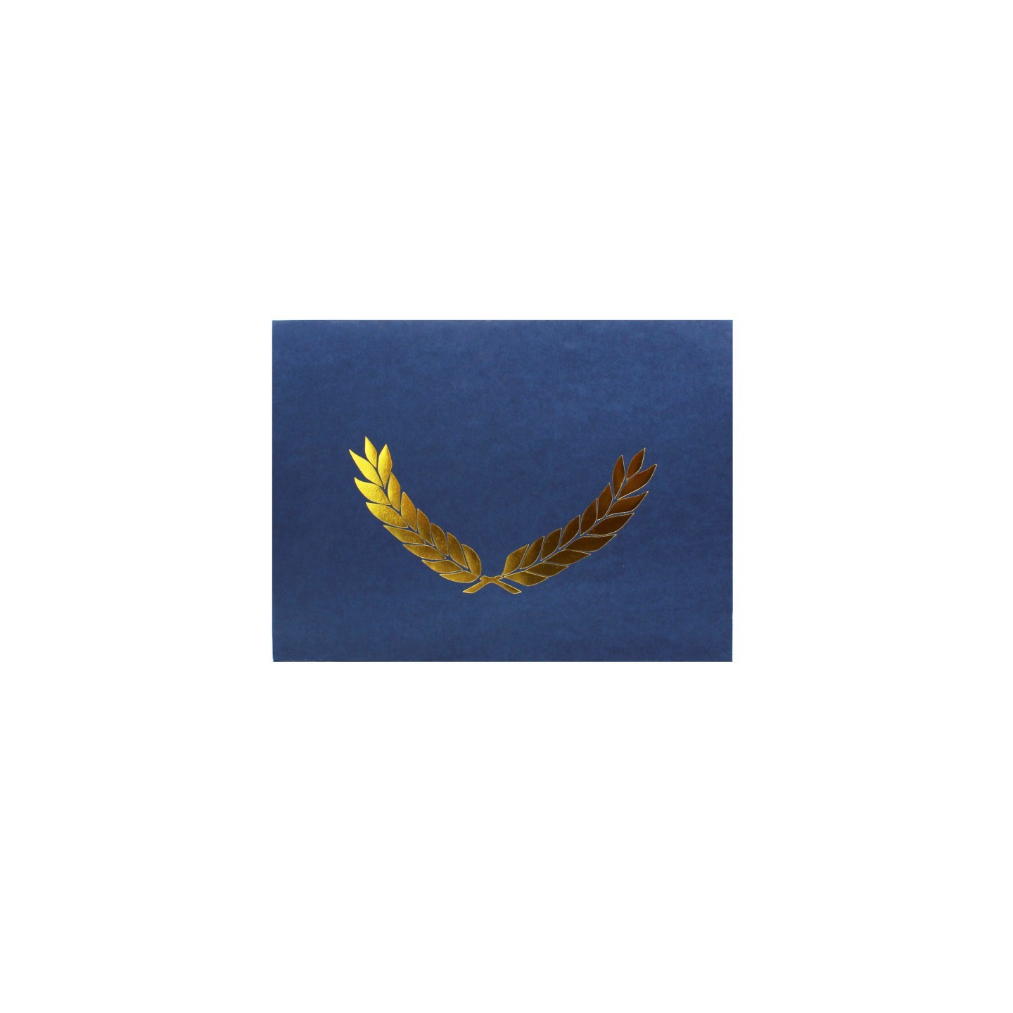 Hayes Publishing Embossed Certificate Folder, Blue, Pack of 30