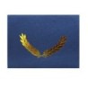 Hayes Publishing Embossed Certificate Folder, Blue, Pack of 30