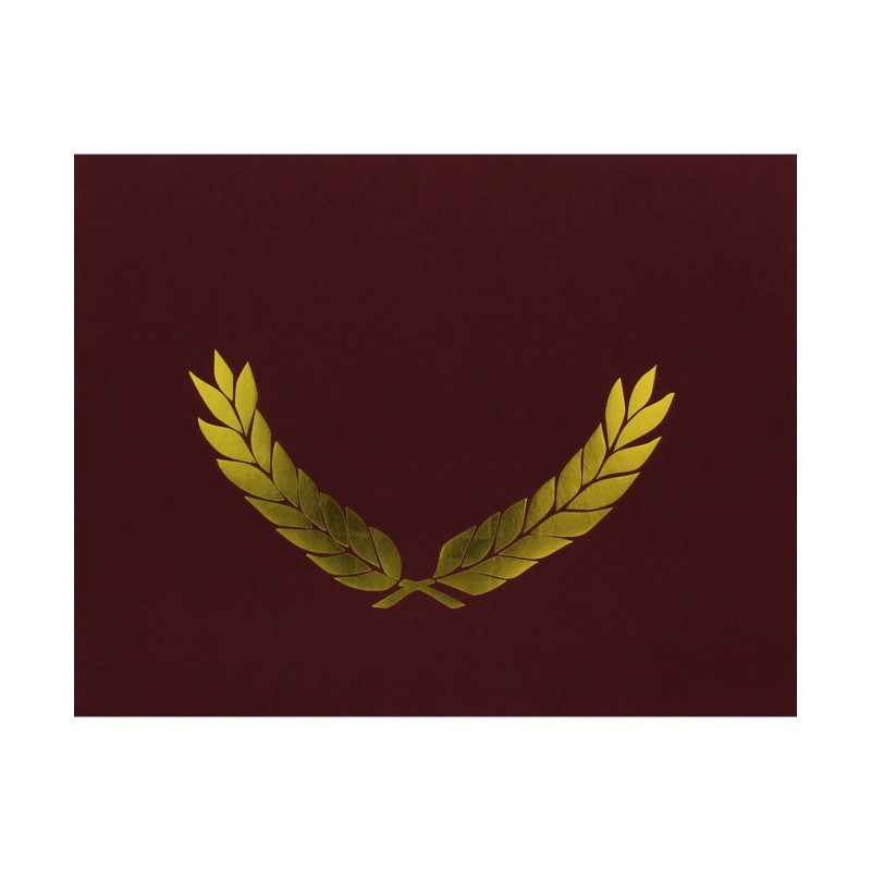 Hayes Publishing Gold Foil Stamped Maroon Certificate Folders, 10" x 13", Pack of 30