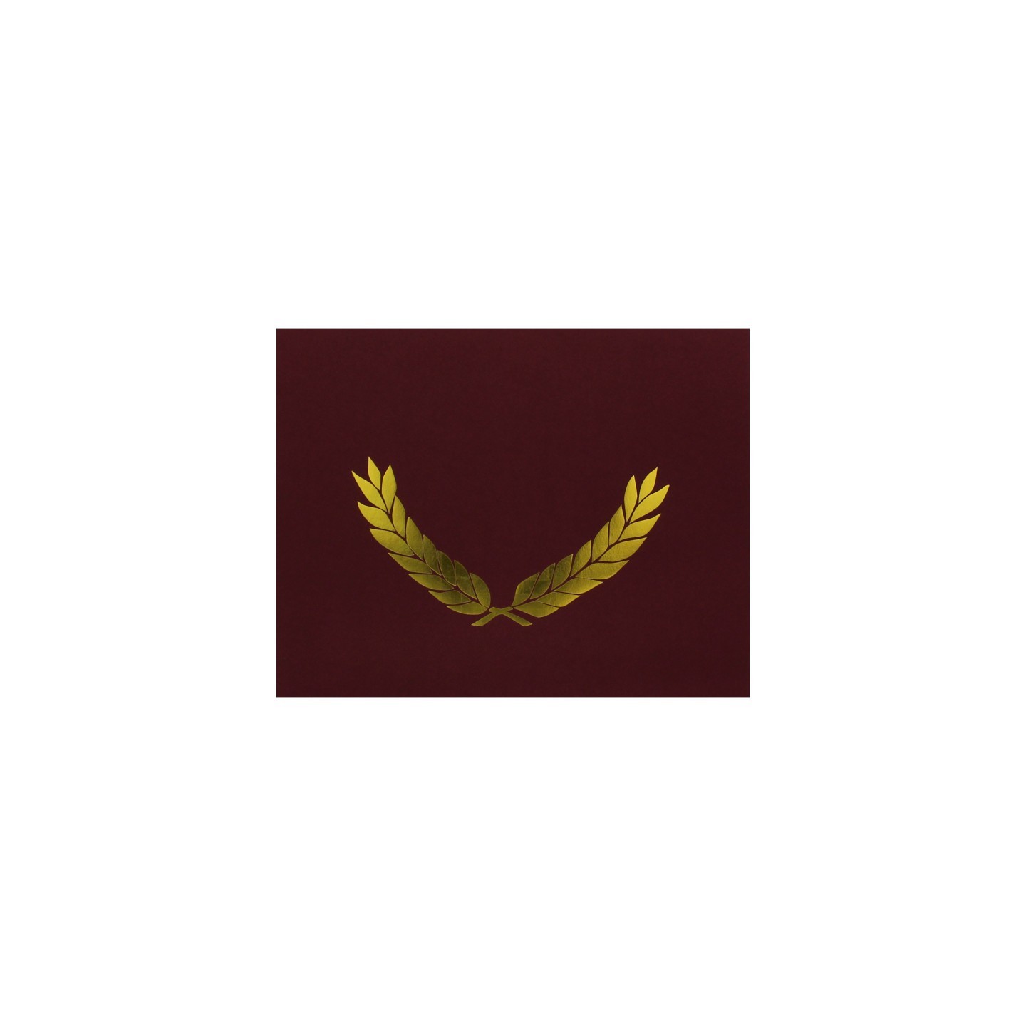 Hayes Publishing Gold Foil Stamped Maroon Certificate Folders, 10" x 13", Pack of 30