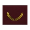 Hayes Publishing Gold Foil Stamped Maroon Certificate Folders, 10" x 13", Pack of 30
