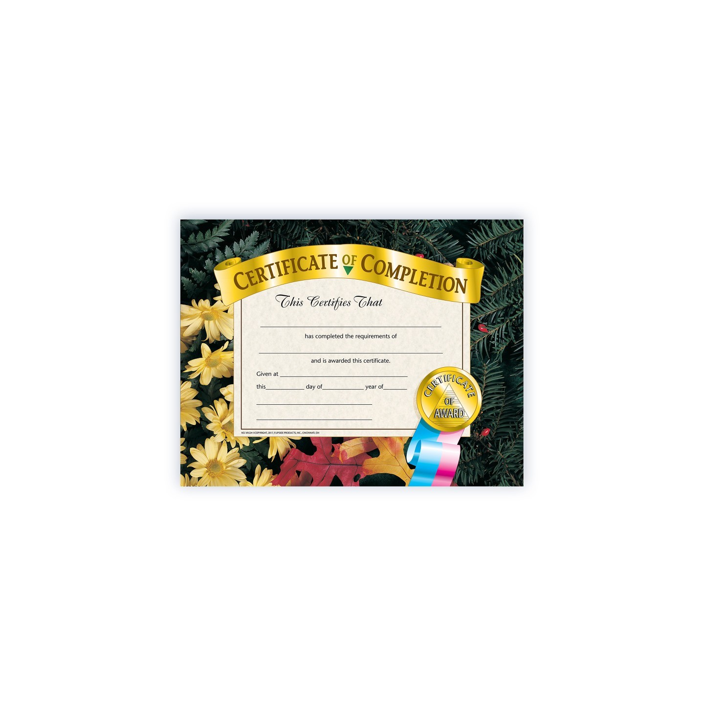 Hayes Publishing Certificate of Completion, 8.5" x 11", Pack of 30