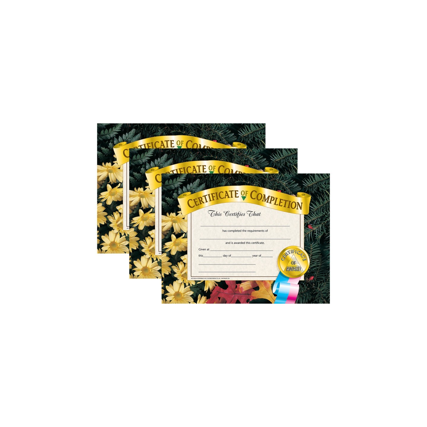 Hayes Publishing Certificate of Completion, 8.5" x 11", 30 Per Pack, 3 Packs
