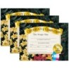 Hayes Publishing Certificate of Completion, 8.5" x 11", 30 Per Pack, 3 Packs
