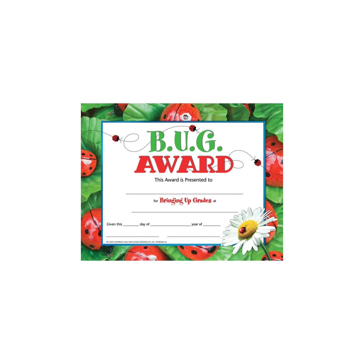 Hayes Publishing B.U.G. Award Certificate, Pack of 30, 8.5" x 11"