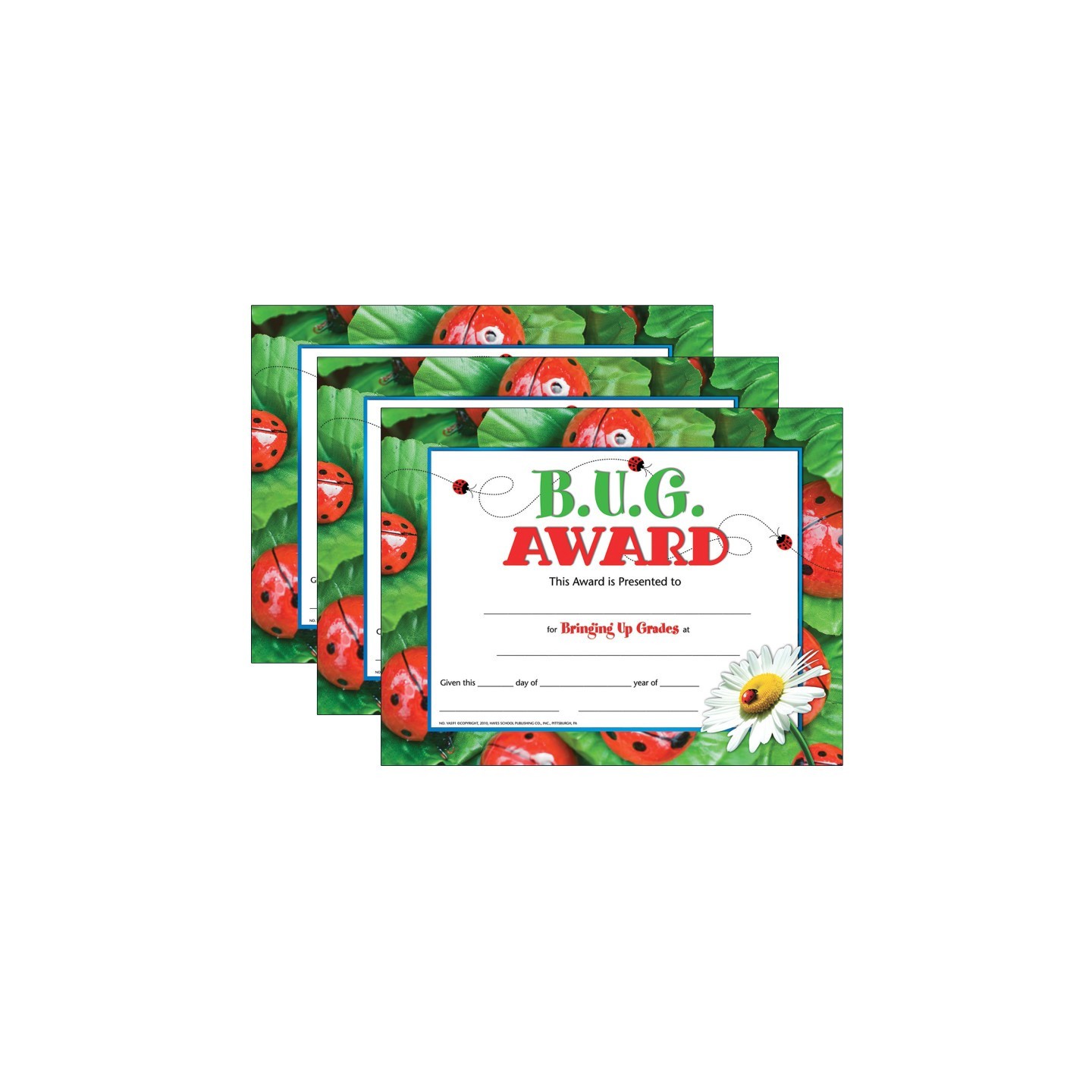 Hayes Publishing B.U.G. Award, 30 Per Pack, 3 Packs