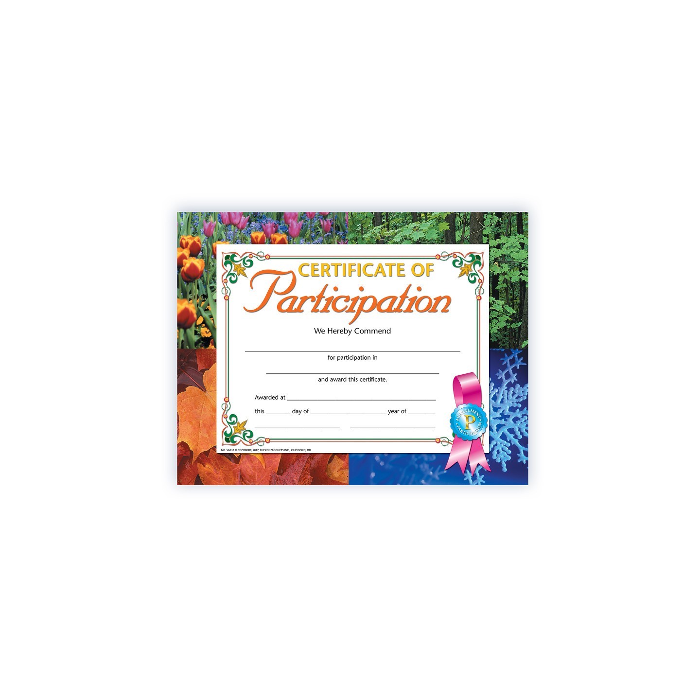 Hayes Publishing Certificate of Participation, 8.5" x 11", Pack of 30
