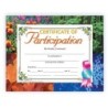 Hayes Publishing Certificate of Participation, 8.5" x 11", Pack of 30