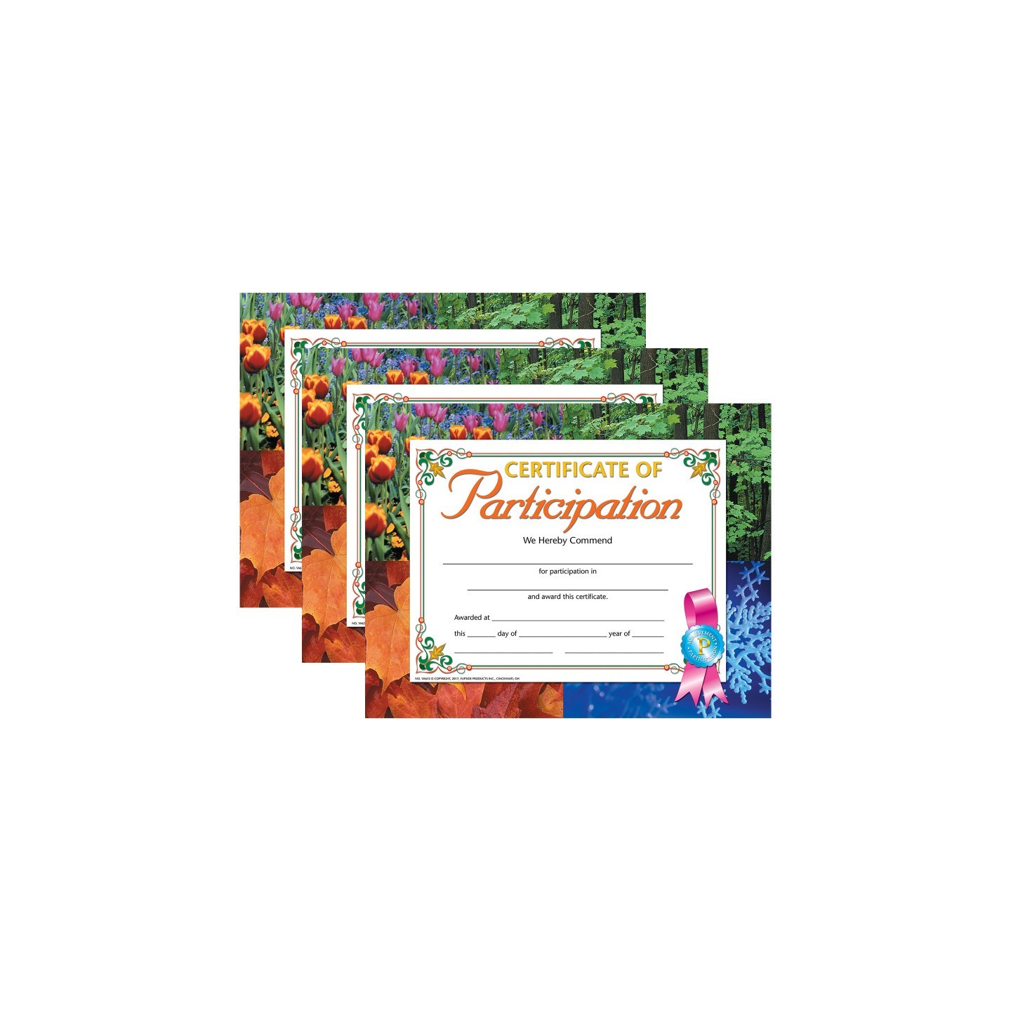 Hayes Publishing Certificate of Participation, 8.5" x 11", 30 Per Pack, 3 Packs