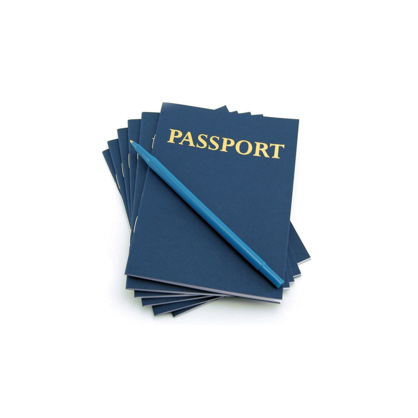 Hygloss® My Passport Books, Pack of 24