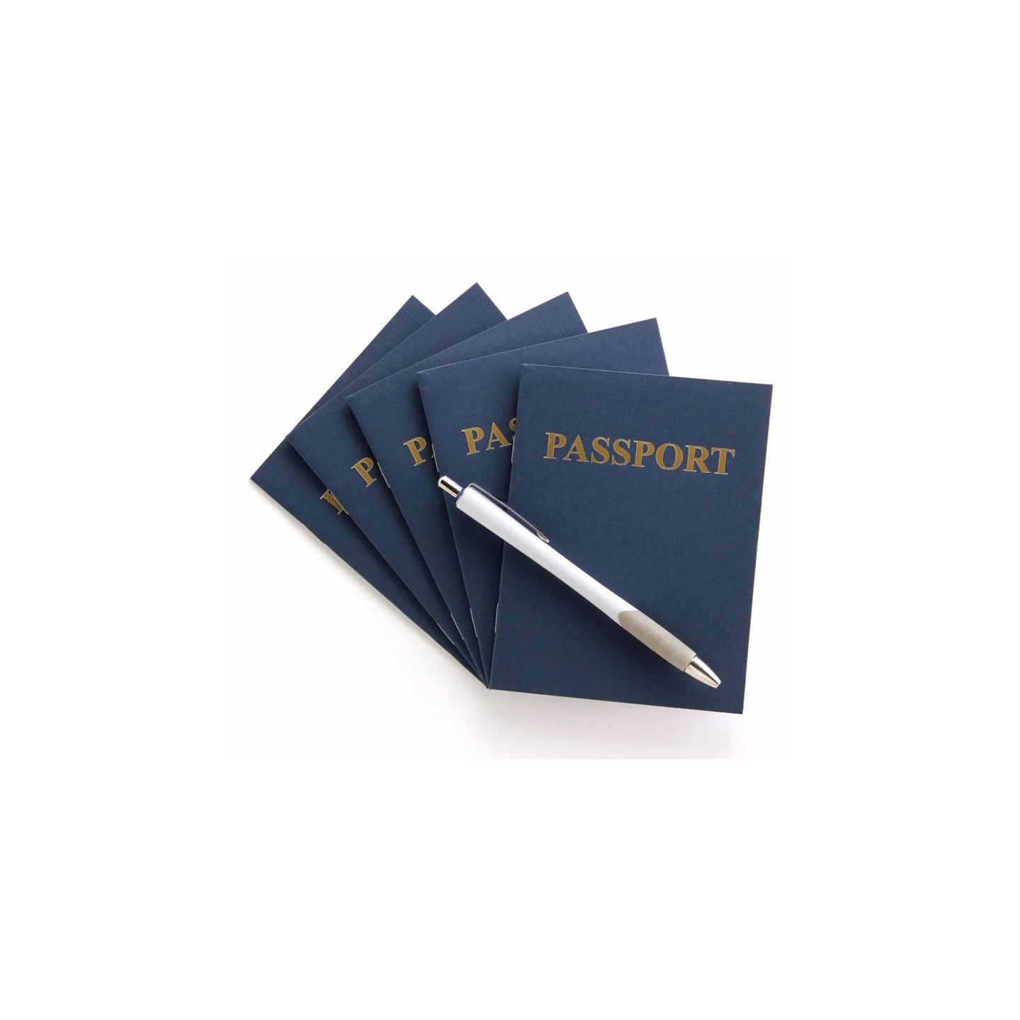 Hygloss® My Passport Books, 12 Per Pack