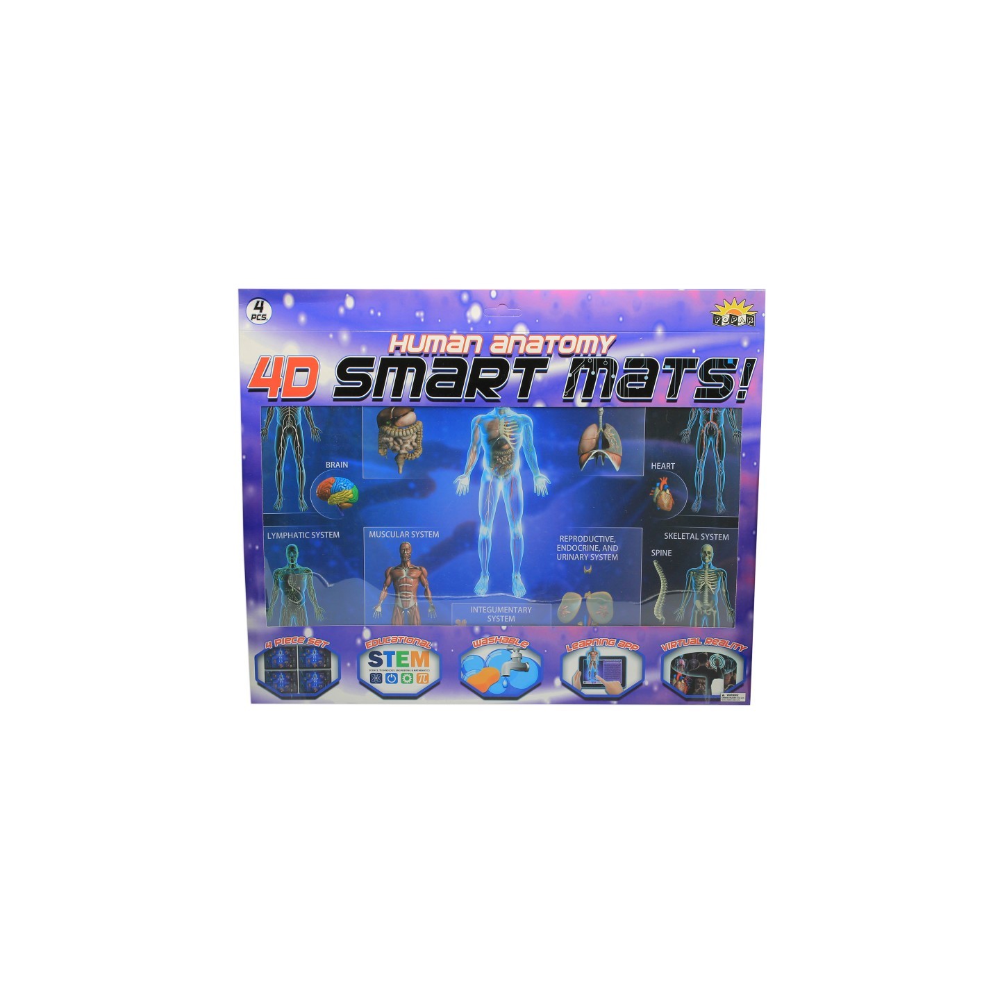POPAR Human Anatomy Smart Mats, Set of 4