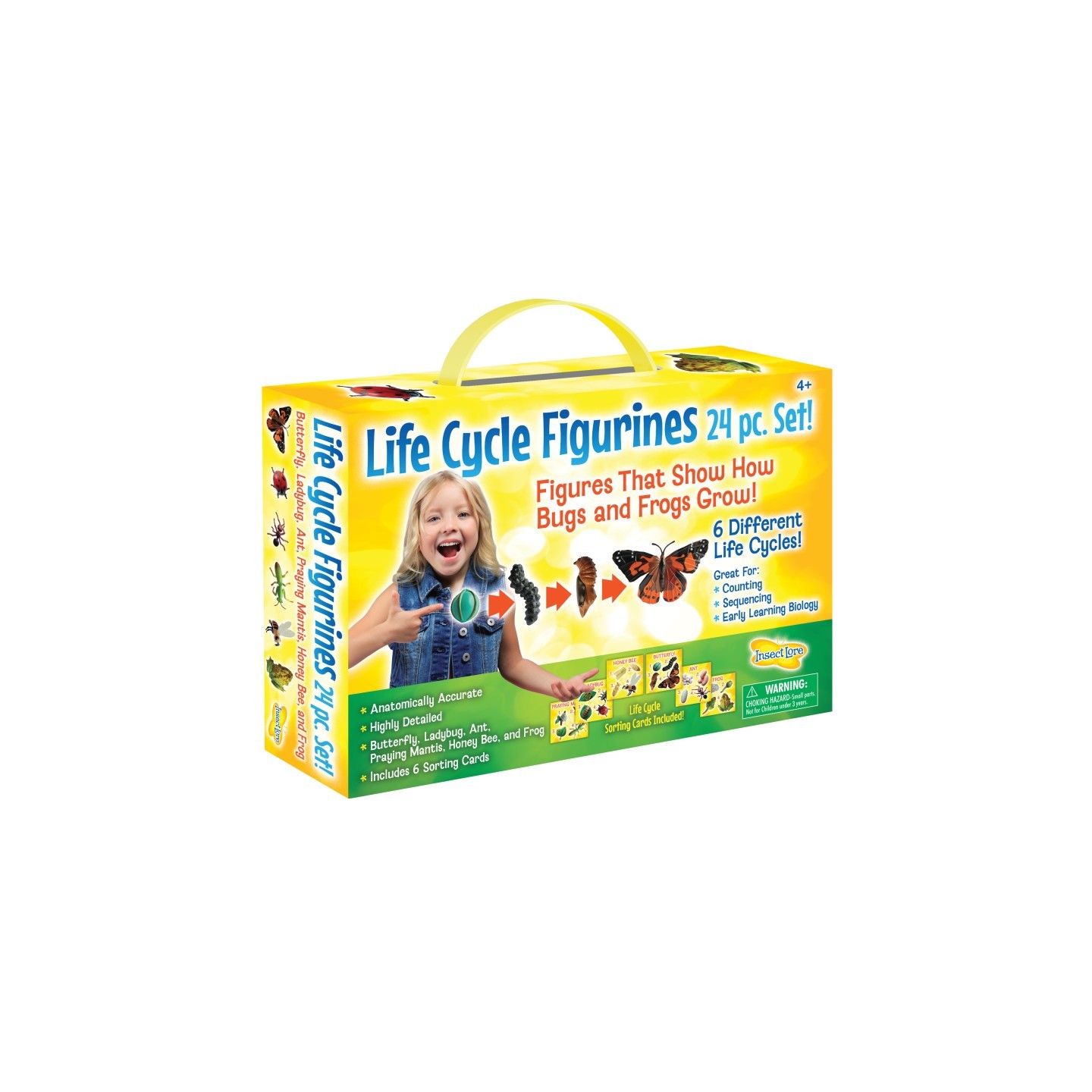 Insect Lore Life Cycle Figurines Set, 24 Pieces