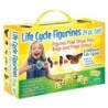 Insect Lore Life Cycle Figurines Set, 24 Pieces