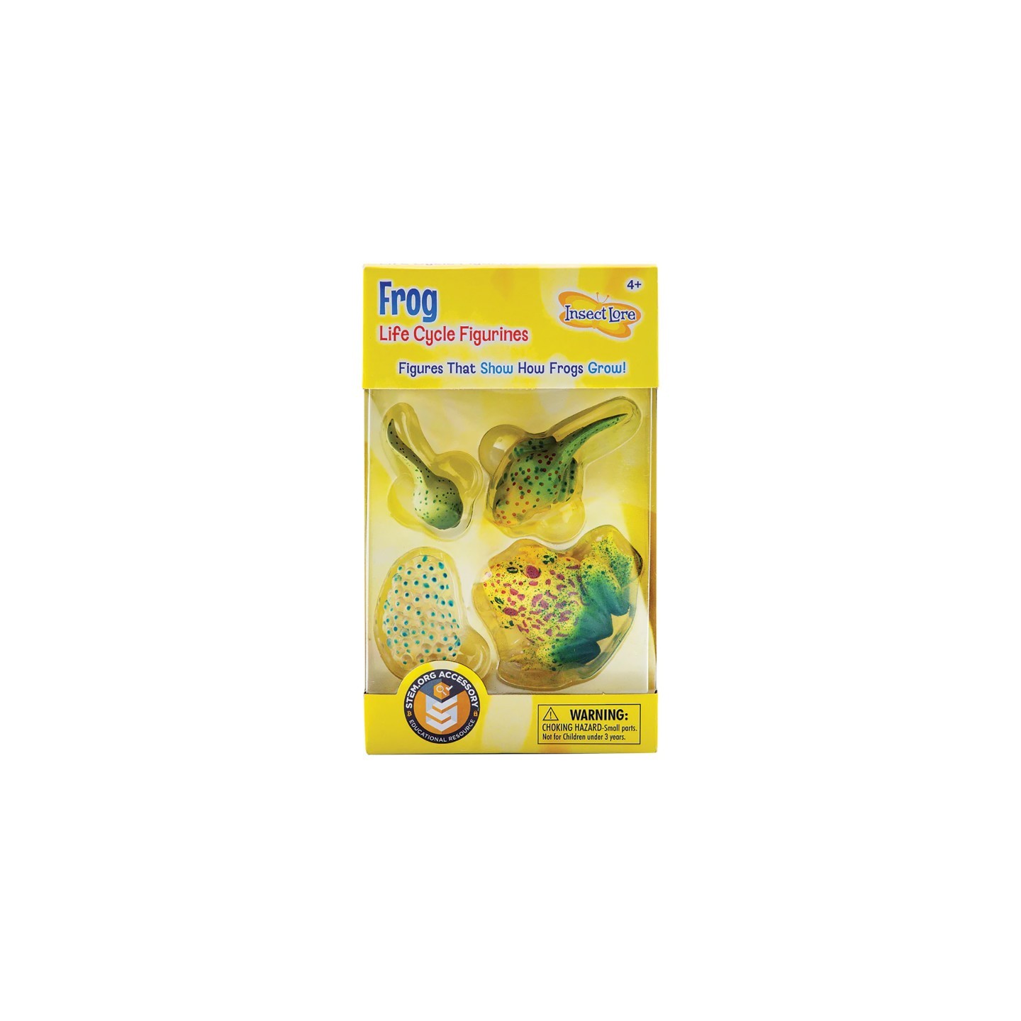 Insect Lore Frog Life Cycle Stages