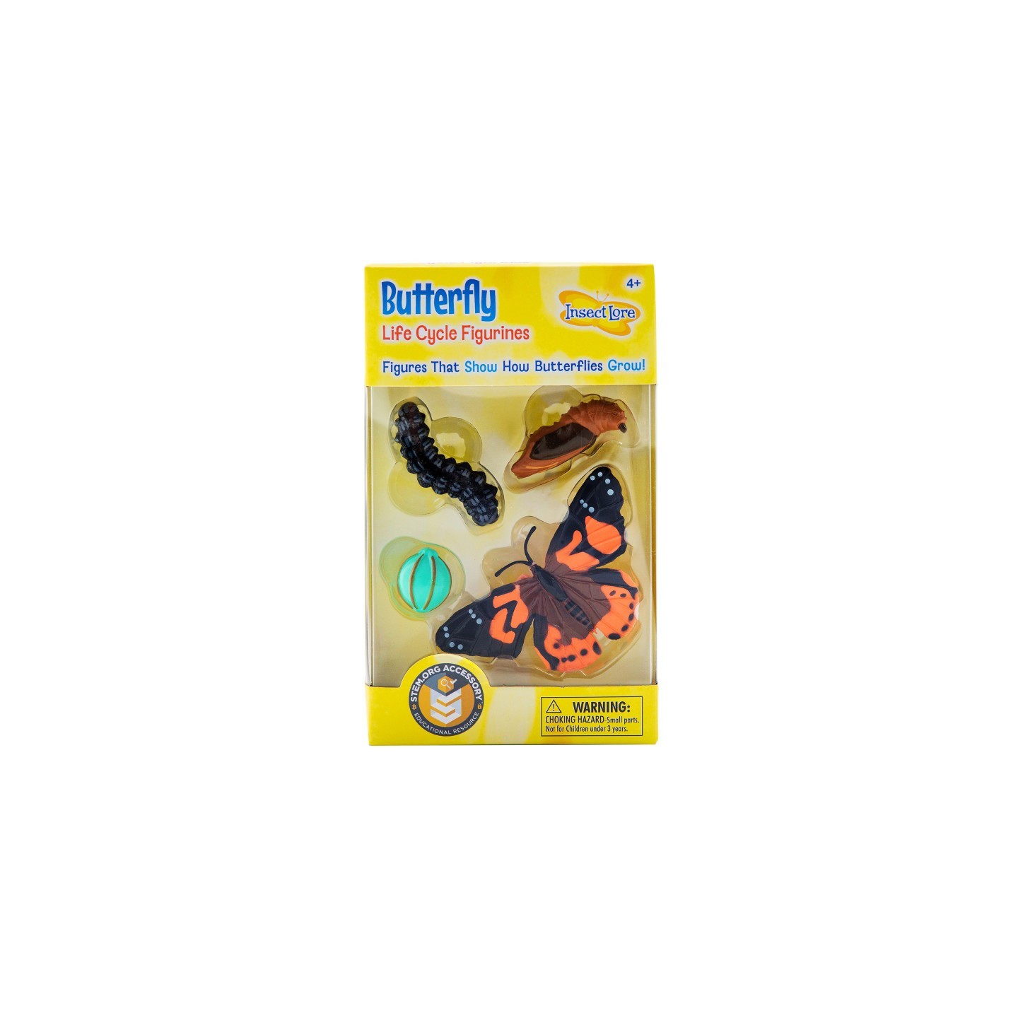 Insect Lore Butterfly Life Cycle Stages