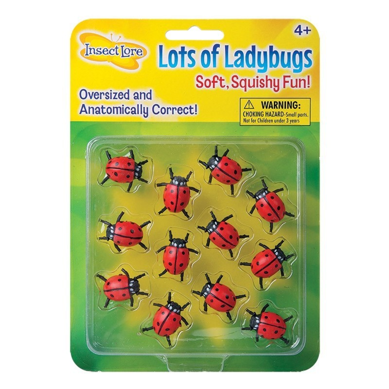 Insect Lore Lots Of Ladybugs