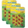 Insect Lore Lots Of Ladybugs, 12 Per Pack, 3 Packs