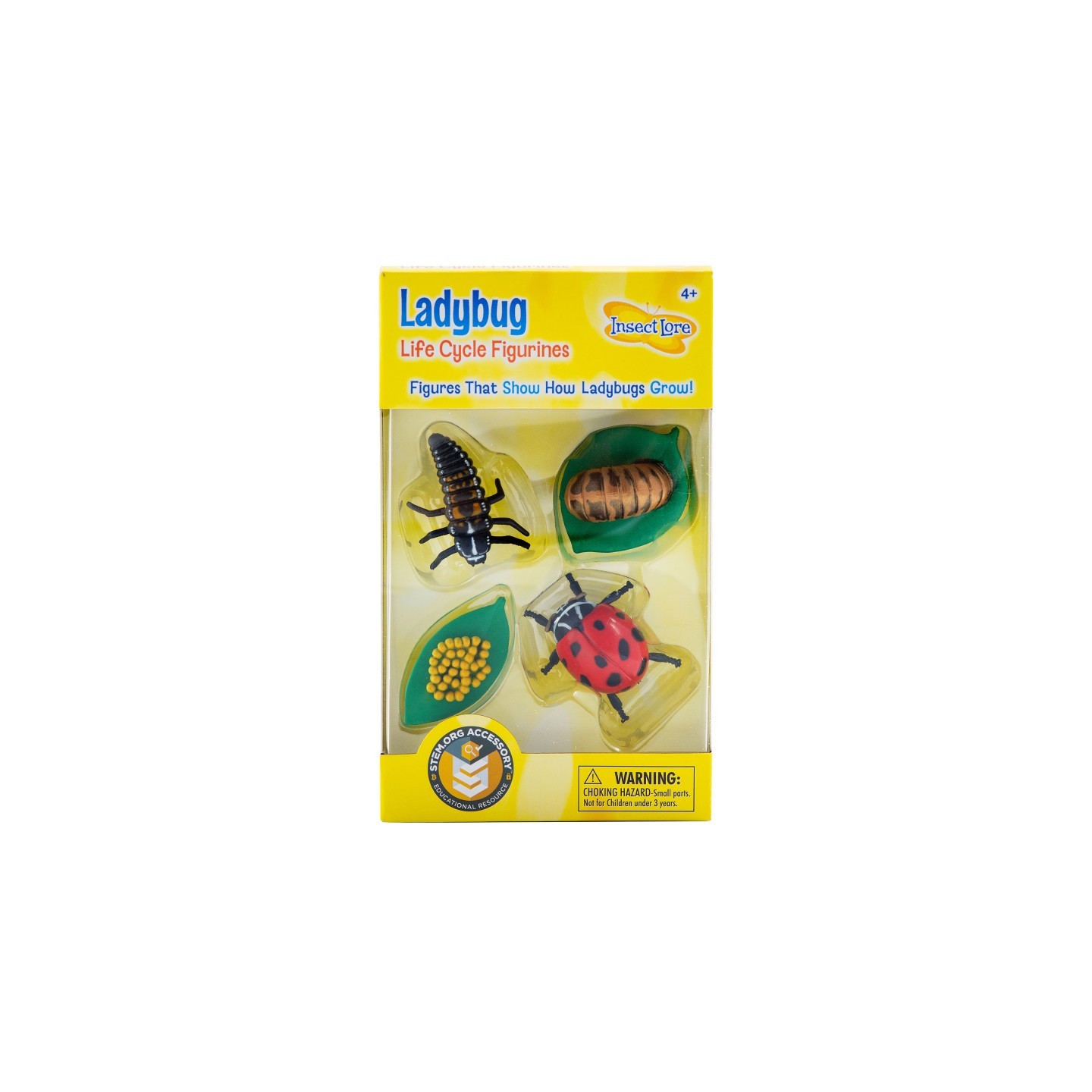 Insect Lore Ladybug Life Cycle Stages