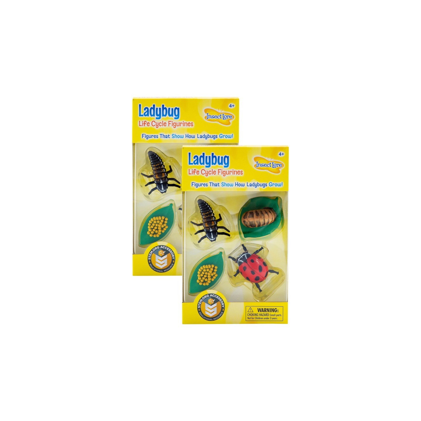 Insect Lore Ladybug Life Cycle Stages, 4 Per Set, 2 Sets