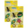 Insect Lore Ladybug Life Cycle Stages, 4 Per Set, 2 Sets