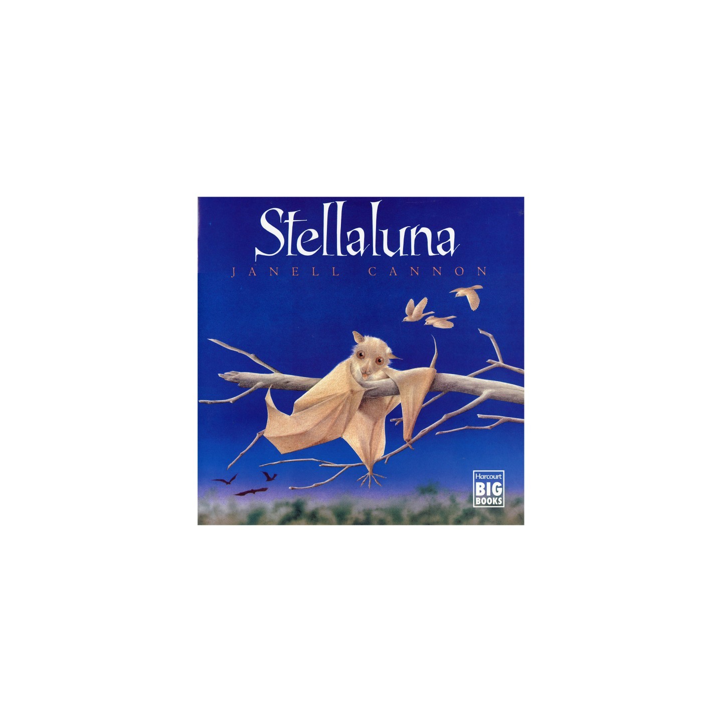 Houghton Mifflin Harcourt Stellaluna Big Book