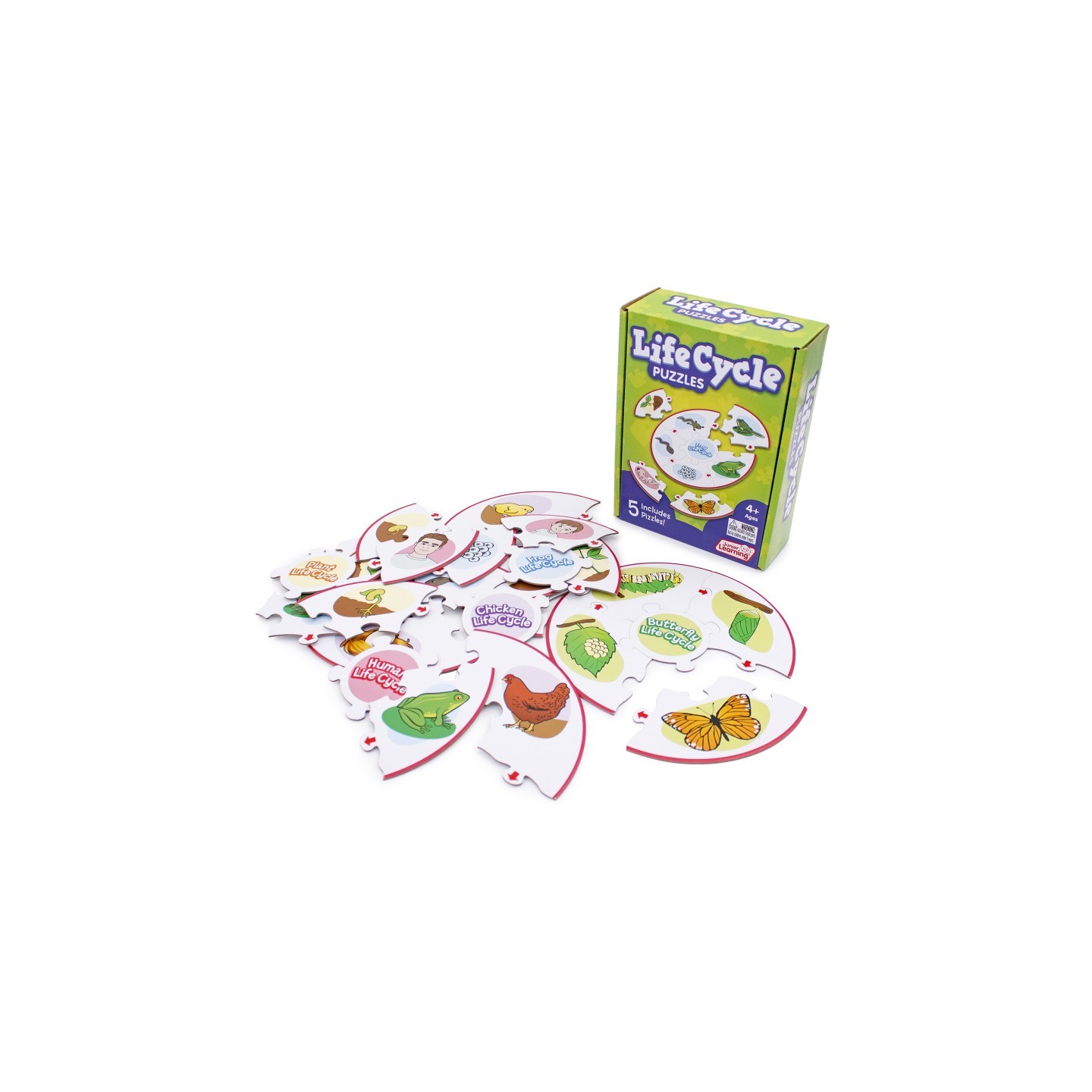 Junior Learning® Life Cycle Puzzles