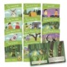 Junior Learning® Letters & Sounds Phase 4 Set 2 Fiction