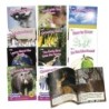 Beanstalk Books Sound Families Decodable Readers R-controlled Non-Fiction Phase 5.5, Set of 12