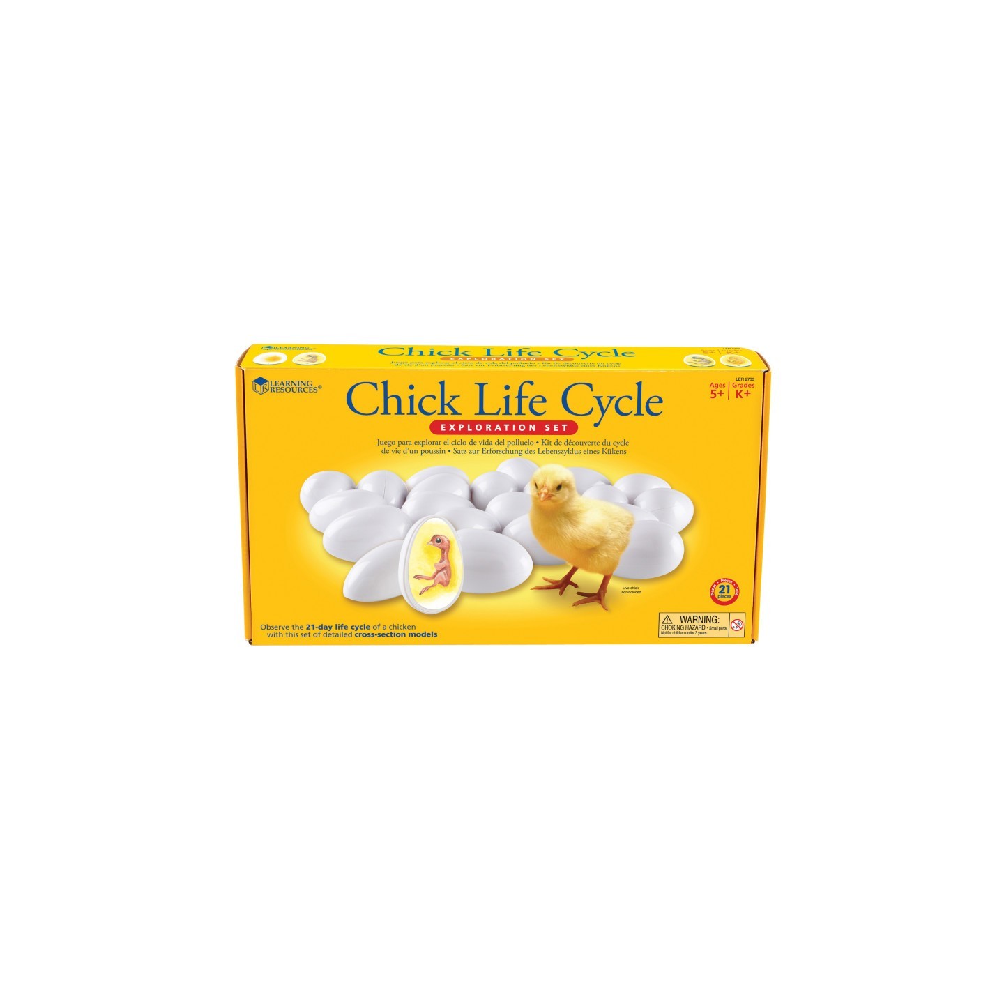 Learning Resources Chick Life Cycle Exploration Set