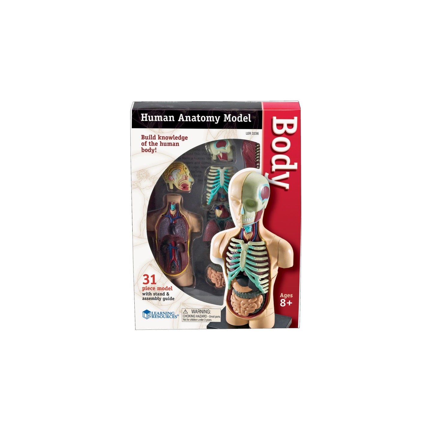 Learning Resources Human Body Anatomy Model, 31 Pieces