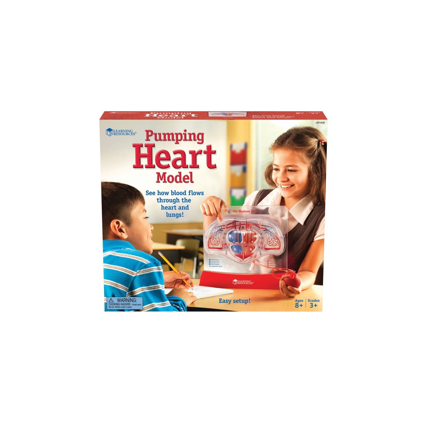 Learning Resources Pumping Heart Model