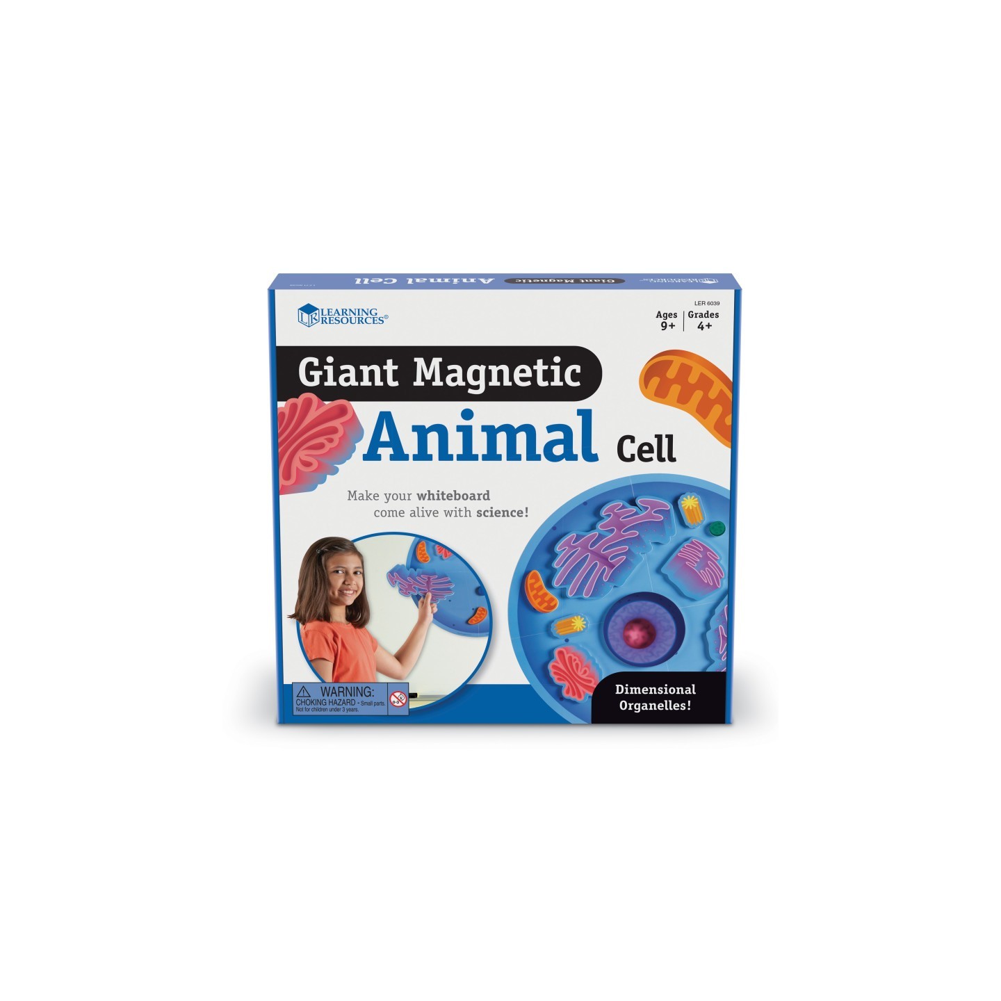 Learning Resources Giant Magnetic Animal Cells
