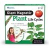 Learning Resources Giant Magnetic Plant Life Cycle, Set of 12