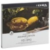 Lyra® Rembrandt Aquarell Watercolor Pencil Set Tin, Assorted Colors, 24 Pieces
