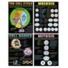 McDonald Publishing Cells Posters, Set of 4