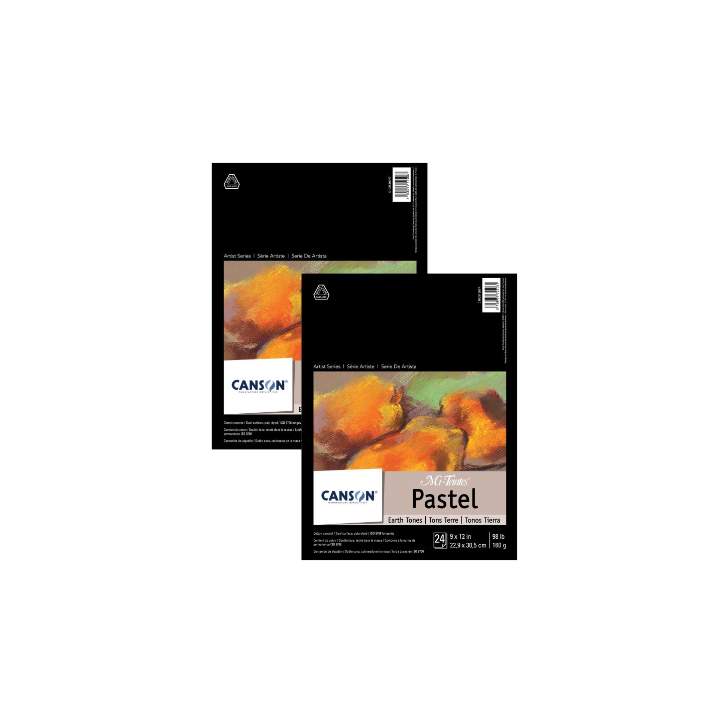 Canson Artist Series Mi-Teintes Pastel Pad, Earth Tones, Foldover Binding, 24 Sheet, 9x12 inch, Pack of 2