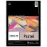 Canson Artist Series Mi-Teintes Pastel Pad, Assorted Colors, Foldover Binding, 24 Sheet, 9x12 inch, 1 Count