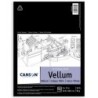 Canson Artist Series Vidalon Vellum Pad, Translucent, Foldover Binding, 50 Sheet, 9X12 inch, 1 Count