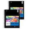 Canson Artist Series Mixed Media Pad, Side Wire Binding, 30 Sheet, 9x12 inch, Pack of 2