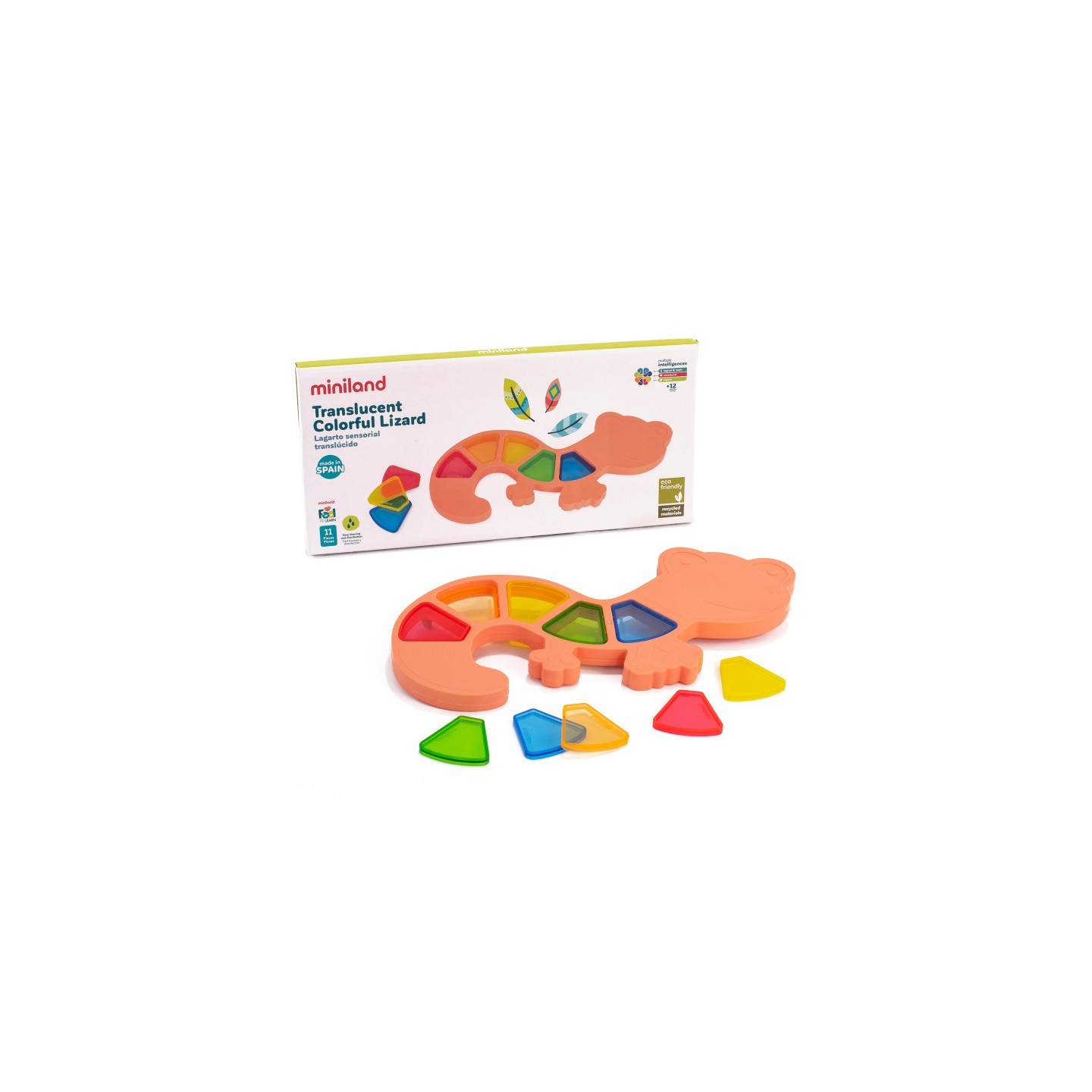 Miniland Feel to Learn: Translucent Colorful Lizard