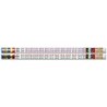 Musgrave Pencil Company Multiplication Tables Motivational Pencils, Pack of 12