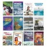 Newmark Learning Clear Windows Single Copy 12-Book Set, Grade 2