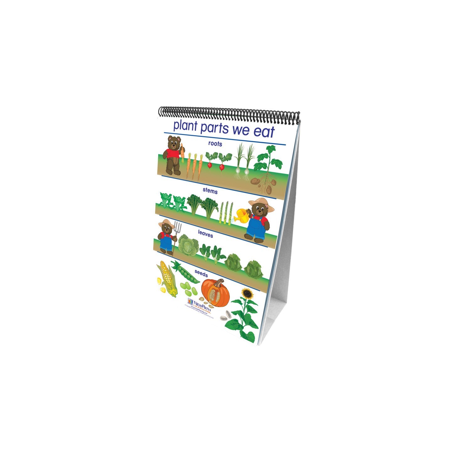 NewPath Learning Early Childhood Science Readiness Flip Charts, All About Plants
